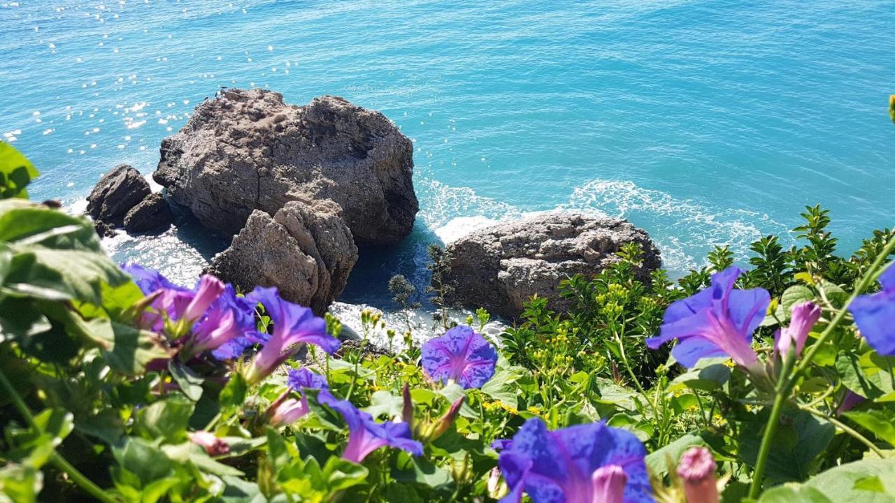 Baviera Hills Holiday Apartment Caleta De Velez Zewnętrze zdjęcie